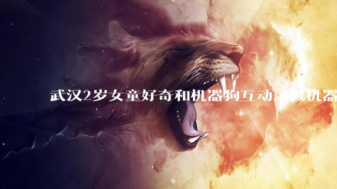 武汉2岁女童好奇和机器狗互动，被机器狗猛撞面部，门店：确实有发生，会加装安全围栏_女儿_网友_机器人