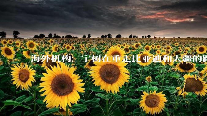 海外机构：宇树在重走比亚迪和大疆的路_电动车_机器人_约合