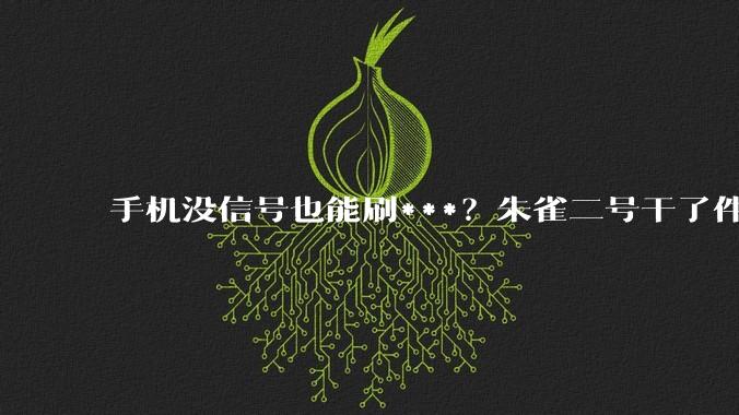手机没信号也能刷***？朱雀二号干了件大事_通信卫星_网络_互联网