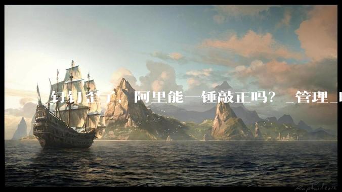 钉钉歪了，阿里能一锤敲正吗？_管理_时代_组织