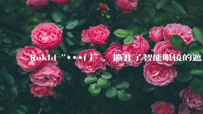 Rokid“***门”，撕开了智能眼镜的遮羞布_隐私_违规_平台