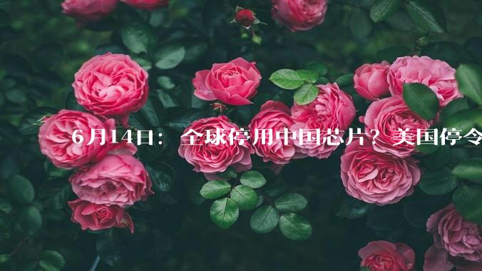 6月14日：全球停用中国芯片？美国停令一旦实行下去，砸的就是自己家的院子_禁令_国产_产业