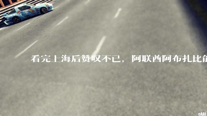 看完上海后赞叹不已，阿联酋阿布扎比能源局***加快引进中国新能源技术_贾尔万_企业_发展