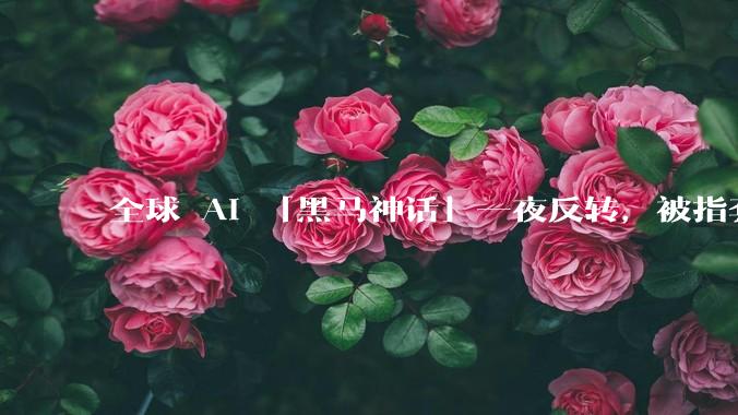 全球 AI 「黑马神话」一夜反转，被指套壳阿里千问_模型_Rio-_-Open-