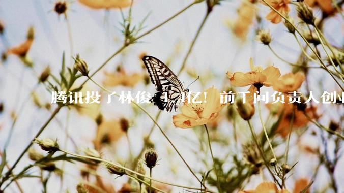 腾讯投了林俊旸1.4亿！前千问负责人创业，估值135亿_智能_公司_世界