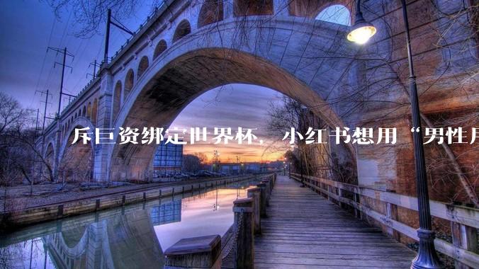 斥巨资绑定世界杯，小红书想用“男性用户”重写IPO故事_规模较大_数据_转播