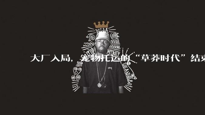 大厂入局，宠物托运的“草莽时代”结束了吗？_服务_行业_京宠达