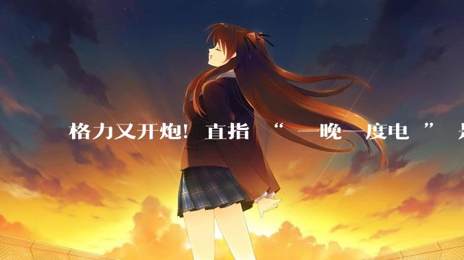 格力又开炮！直指 “ 一晚一度电 ” 是噱头_空调_朱磊_广告词