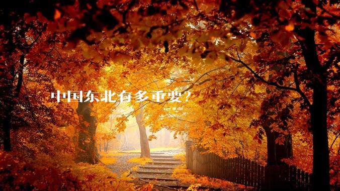 中国东北有多重要？
