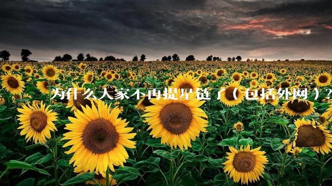 为什么大家不再提星链了（包括外网）？