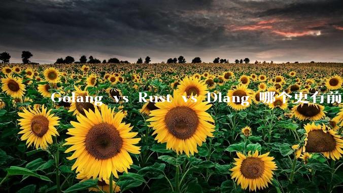 Golang vs Rust vs Dlang 哪个更有前途，哪位大牛这 3 门语言都用过？