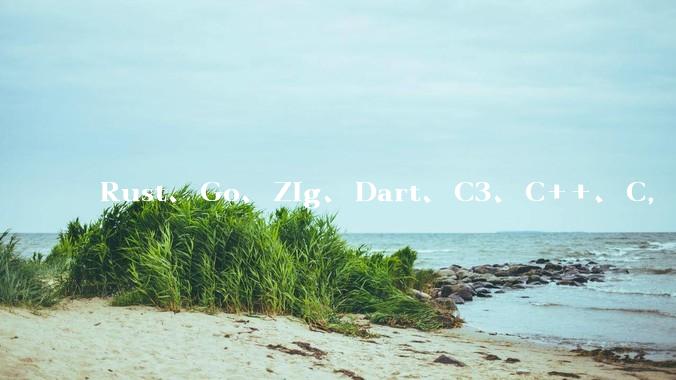 Rust、Go、Zig、Dart、C3、C++、C，仓颉、moonbit、凹语言哪个语言更有未来？