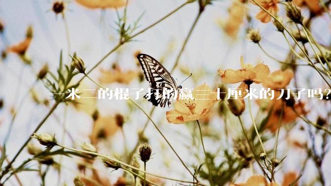 一米二的棍子打的赢三十厘米的刀子吗？