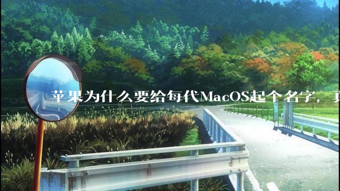 苹果为什么要给每代MacOS起个名字，真以为人们记得住分得清吗？