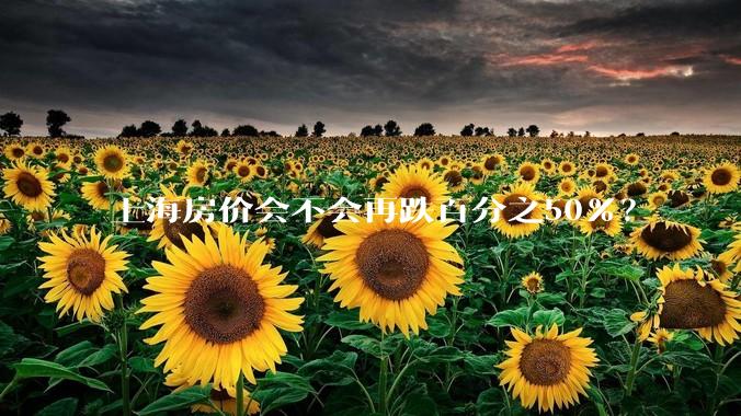 上海房价会不会再跌百分之50%？