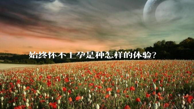 始终怀不上孕是种怎样的体验？