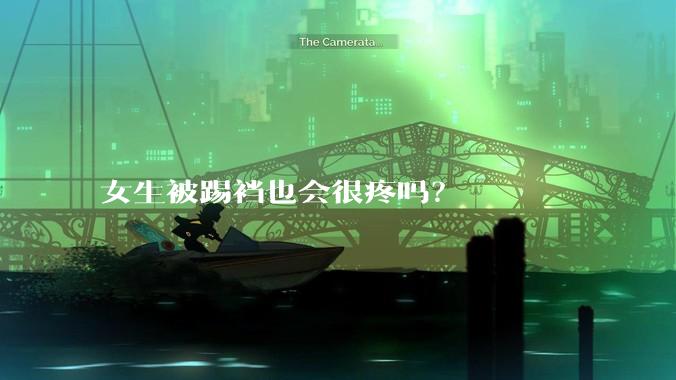 女生被踢裆也会很疼吗？
