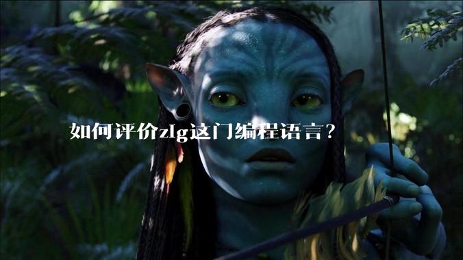 如何评价zig这门编程语言？
