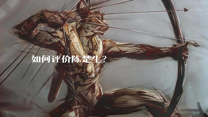 如何评价陈楚生？